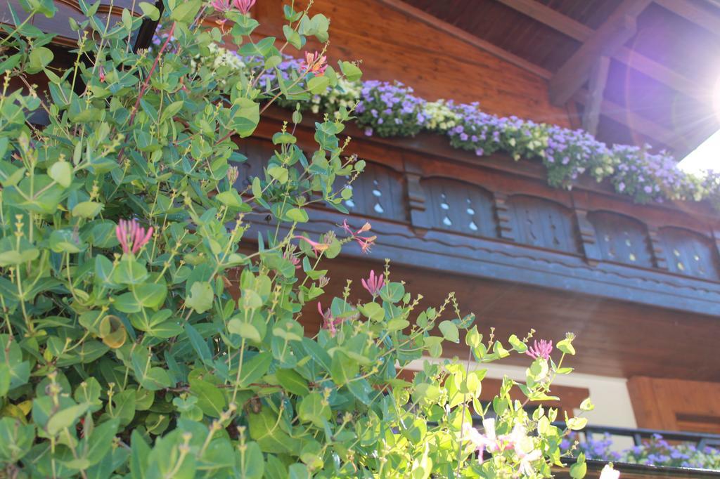 Ferienwohnung FreiRaum Sölden Exterior foto